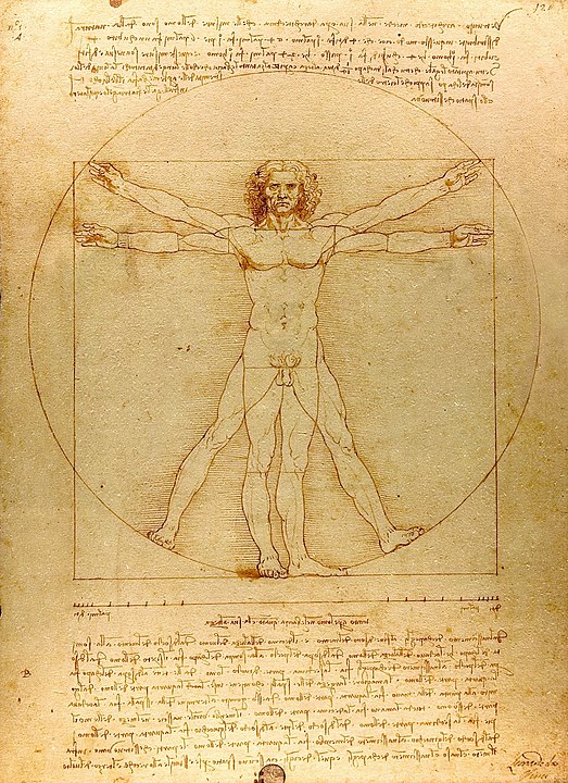 Vitruvian Man (ca. 1485) Accademia, Venice