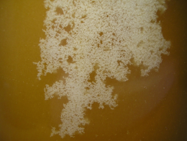 What Is Metal Crystallization Learn More