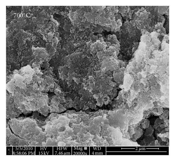 Obraz SEM powłok hydroksyapatytowych